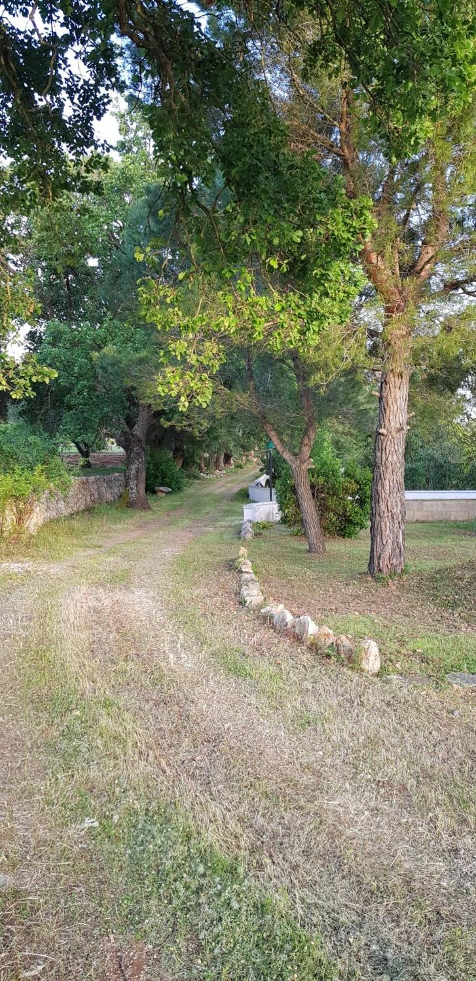 Villa Isabella オストゥーニ エクステリア 写真